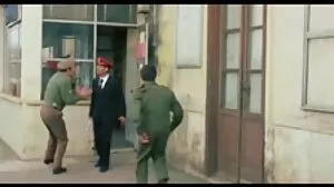 الديك اللعب