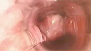 الجنس الشرجي الحلو والمكثف مع امرأة سمراء جبهة مورو عاطفي Alexis Fawx احلى موقع سكسي