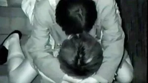 طائر الفينيق ماري وسارة احلى فيلم سكسي احلى فيلم سكسي فانديلا يعبدون نفس الديك